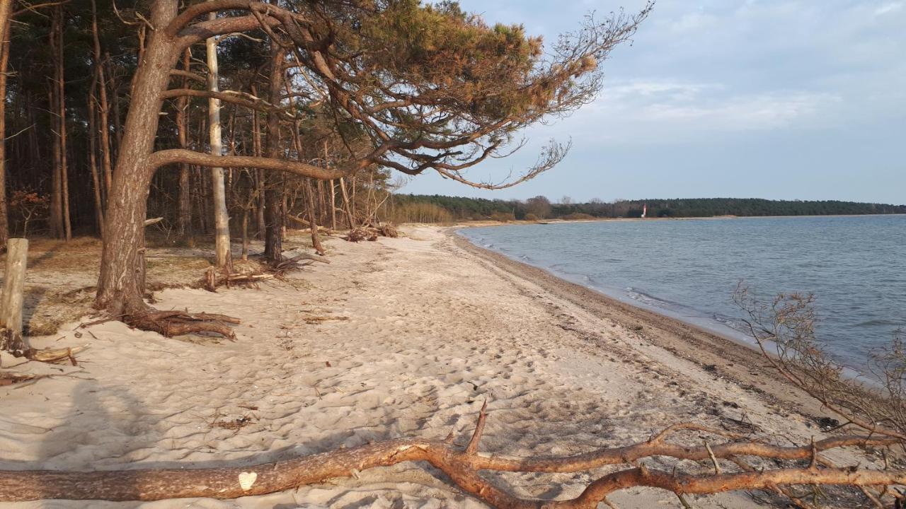 Villa Strandraeuber Zudar Eksteriør billede